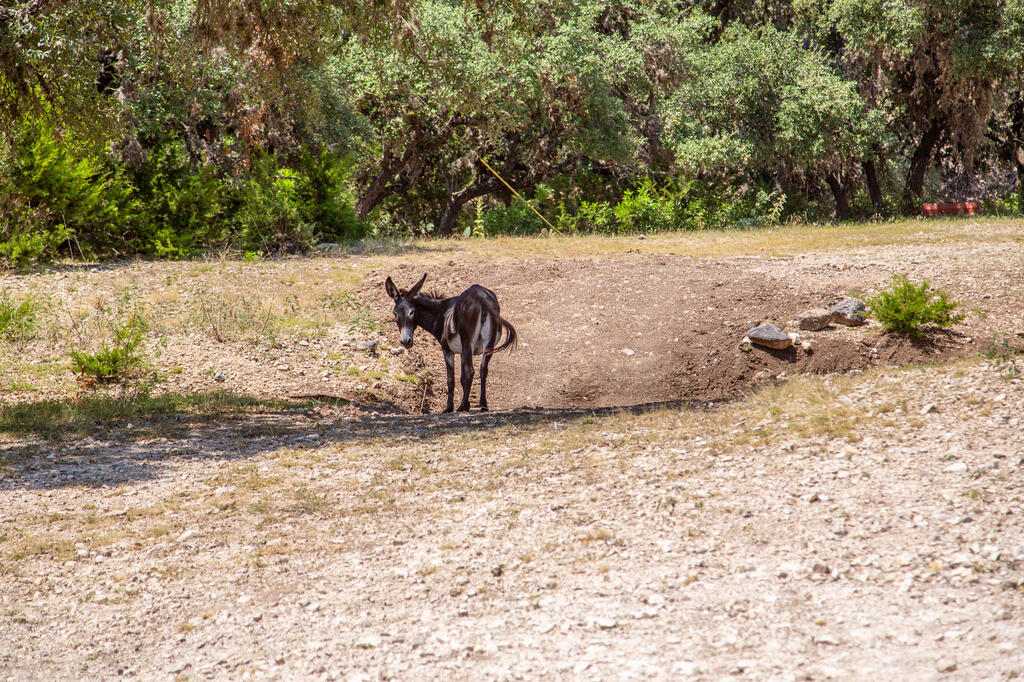 Tbd Other Property Photo 33