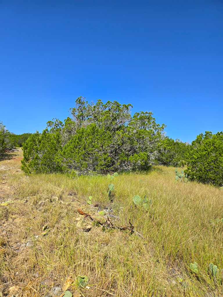 227 Mitchell Ranch Rd Property Photo 23