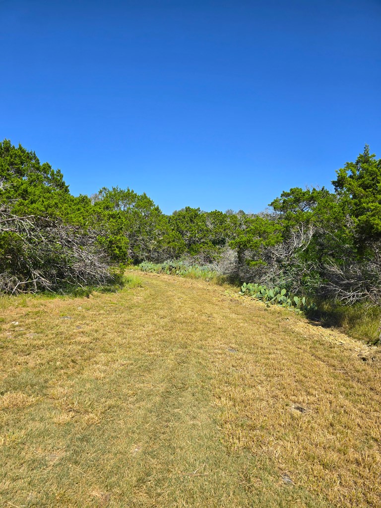 227 Mitchell Ranch Rd Property Photo 24