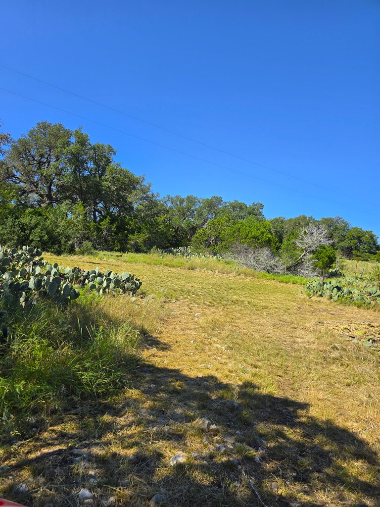 227 Mitchell Ranch Rd Property Photo 25