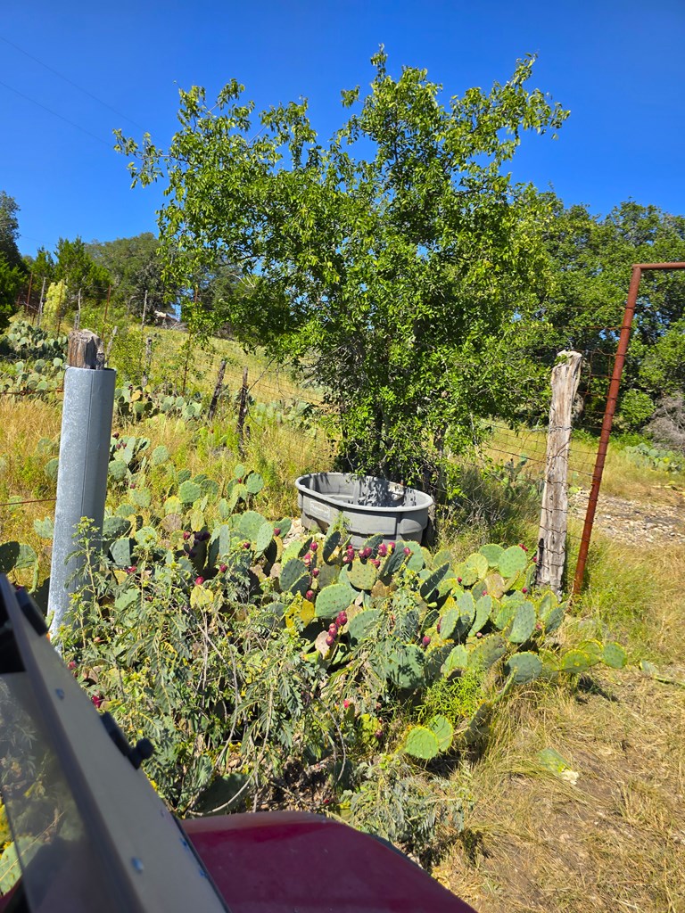 227 Mitchell Ranch Rd Property Photo 27