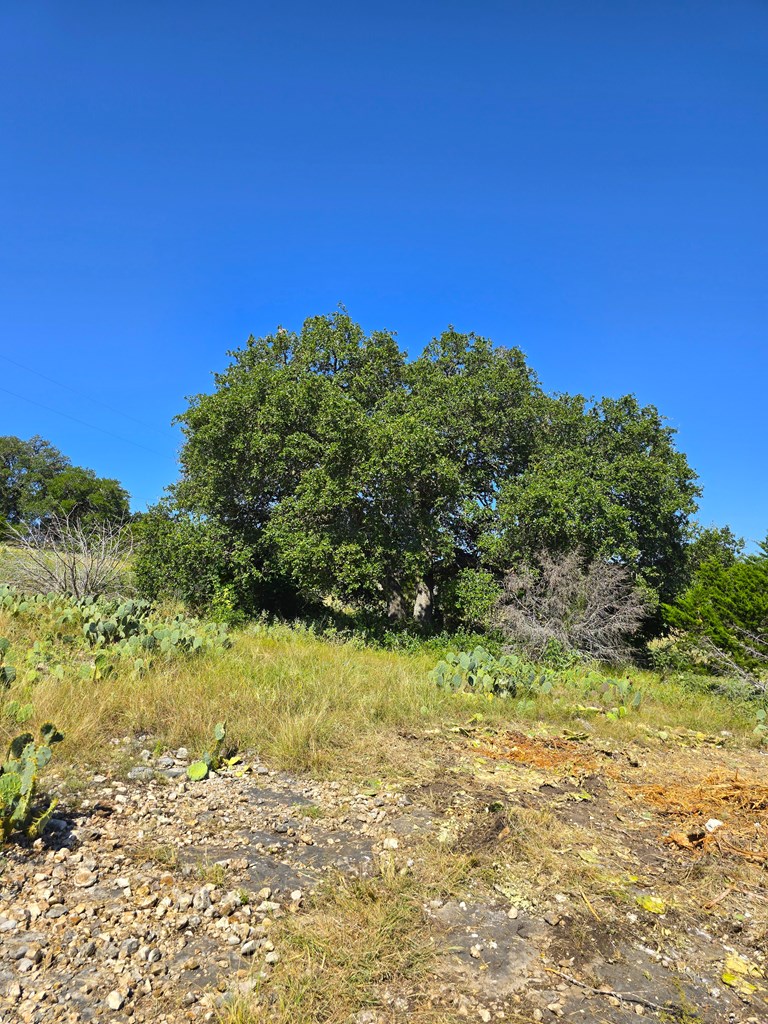 227 Mitchell Ranch Rd Property Photo 28