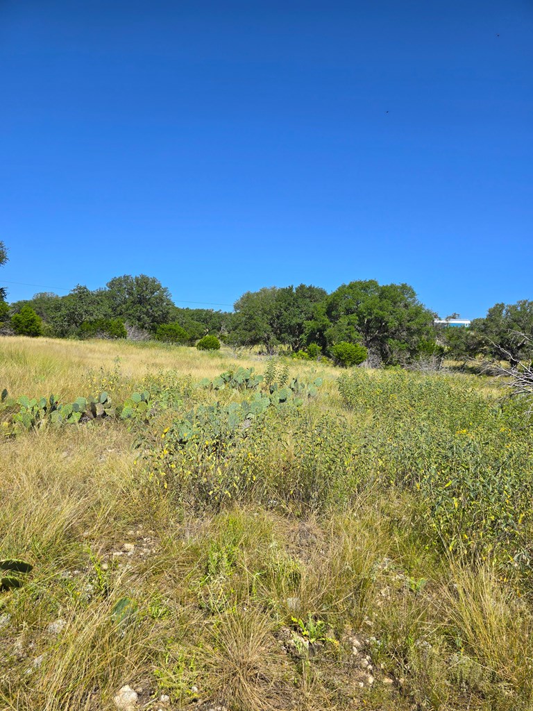 227 Mitchell Ranch Rd Property Photo 29