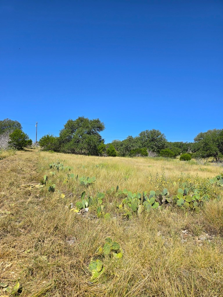 227 Mitchell Ranch Rd Property Photo 30