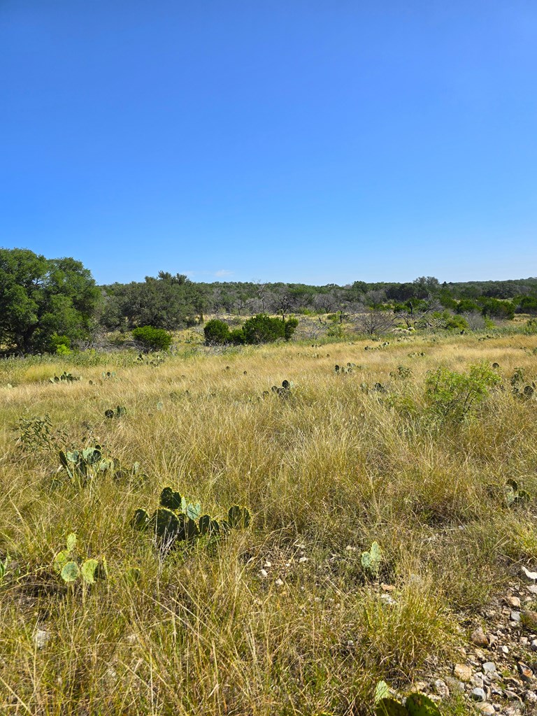 227 Mitchell Ranch Rd Property Photo 33