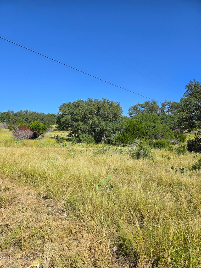 227 Mitchell Ranch Rd Property Photo 35