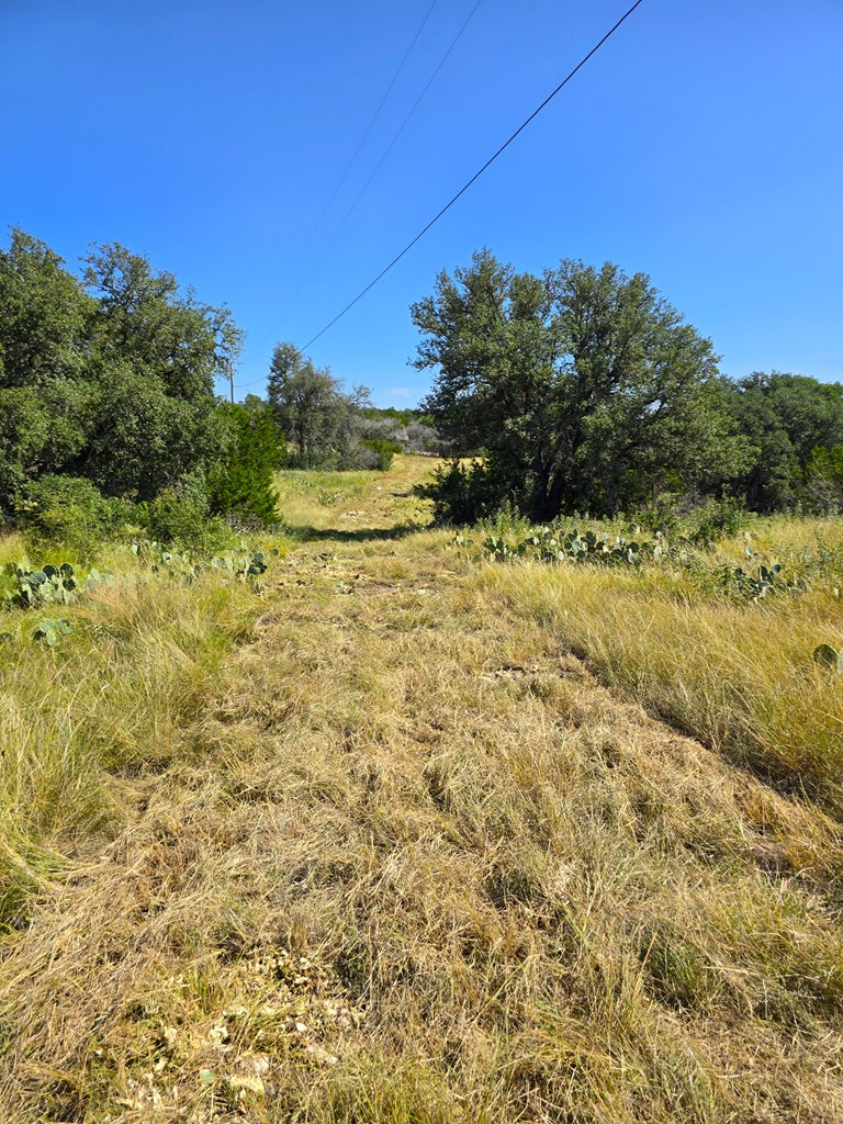 227 Mitchell Ranch Rd Property Photo 37