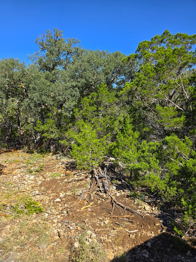 227 Mitchell Ranch Rd Property Photo 39
