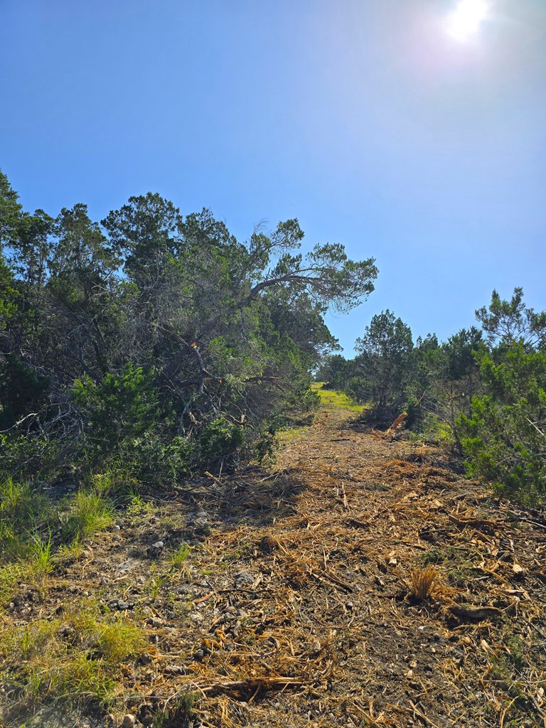 227 Mitchell Ranch Rd Property Photo 42
