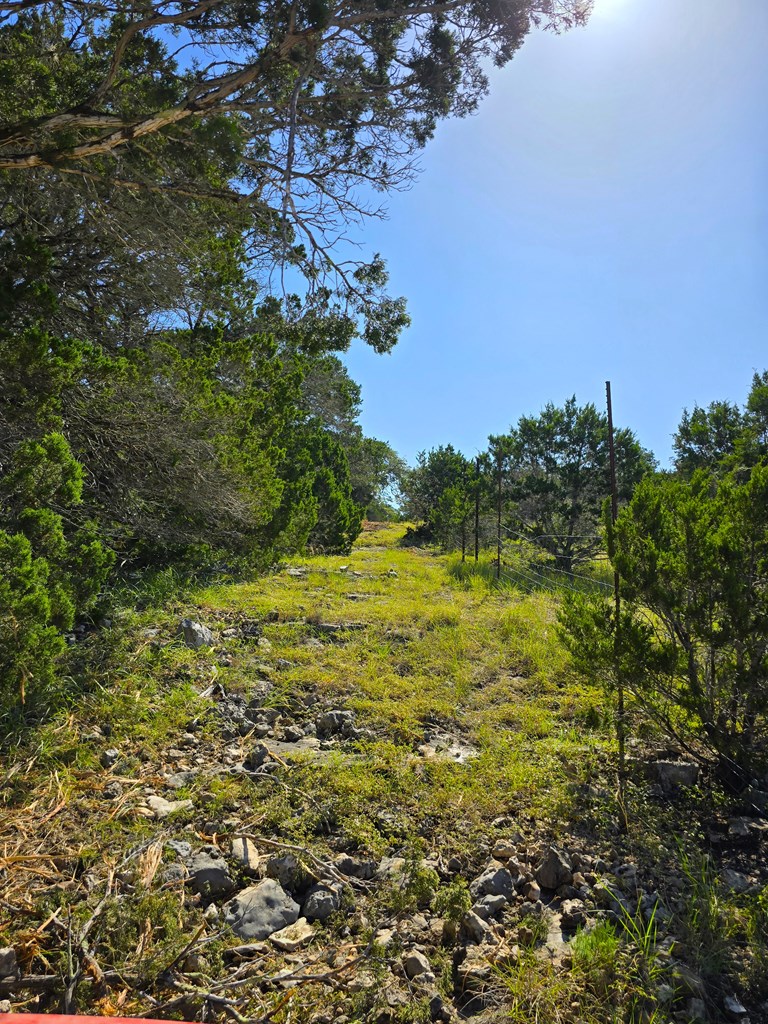 227 Mitchell Ranch Rd Property Photo 44