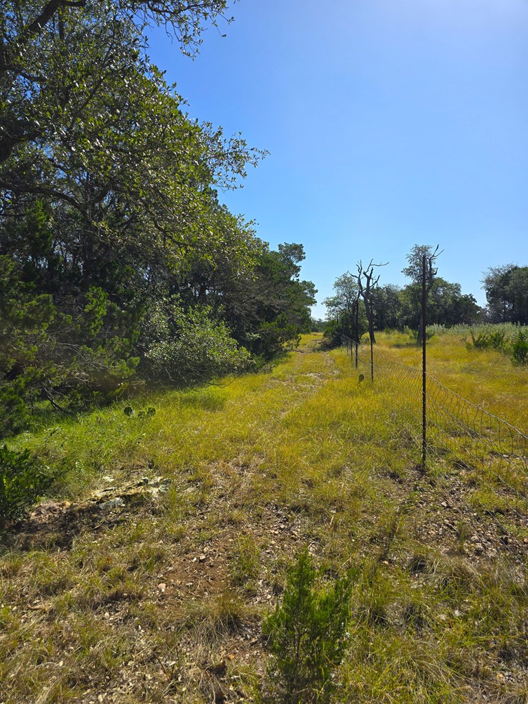 227 Mitchell Ranch Rd Property Photo 49