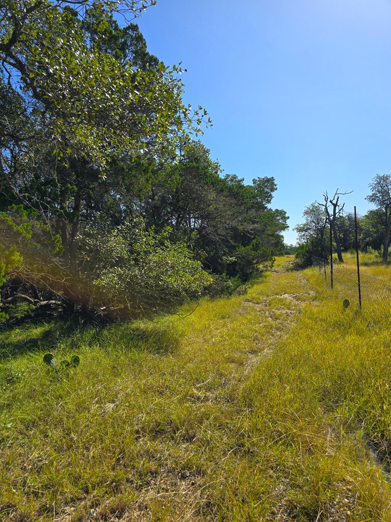 227 Mitchell Ranch Rd Property Photo 50