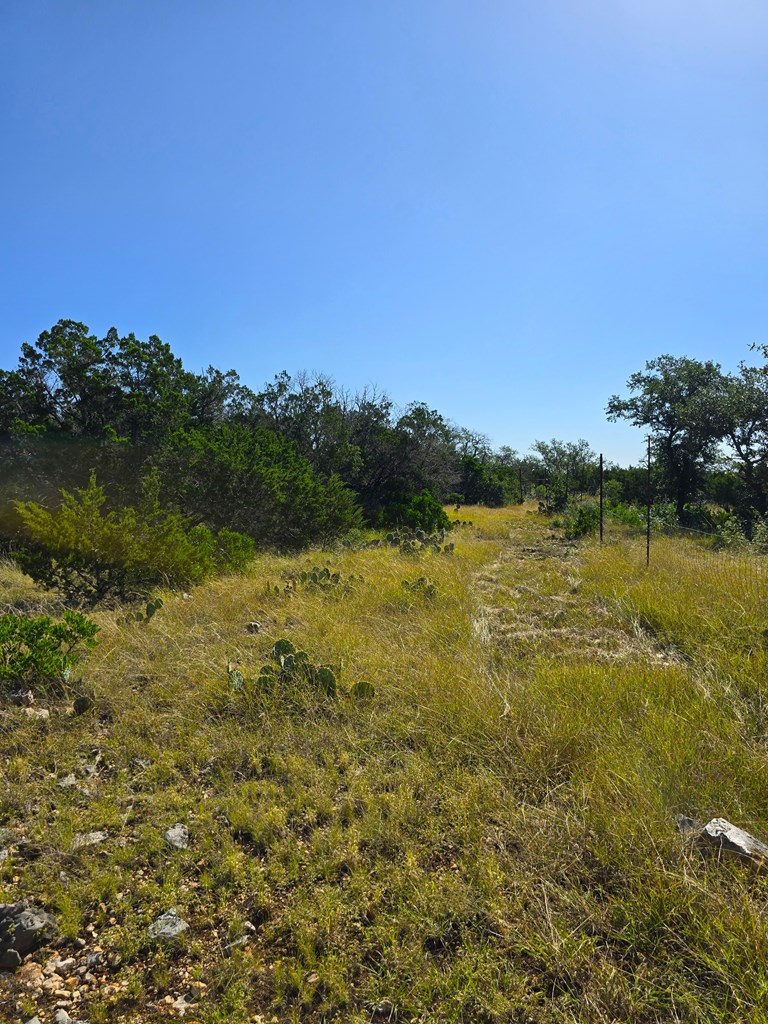 227 Mitchell Ranch Rd Property Photo 52