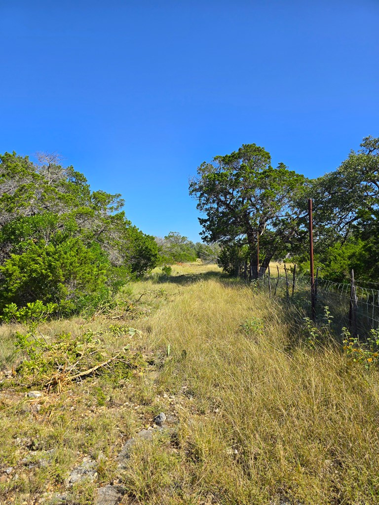 227 Mitchell Ranch Rd Property Photo 53