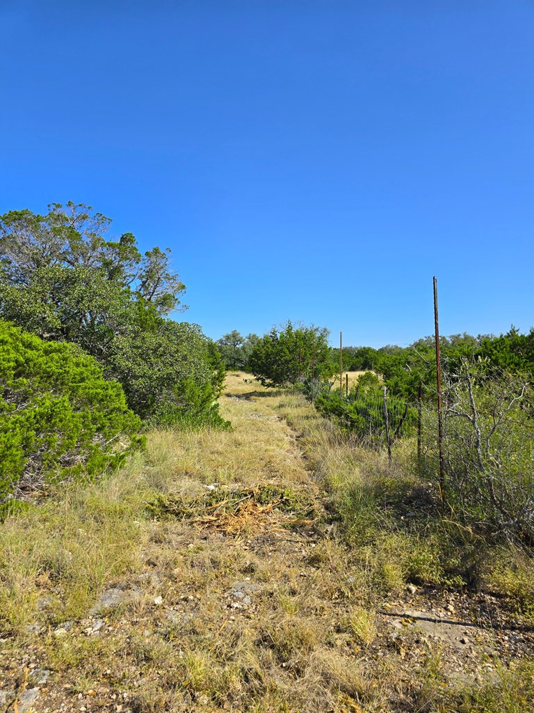 227 Mitchell Ranch Rd Property Photo 54