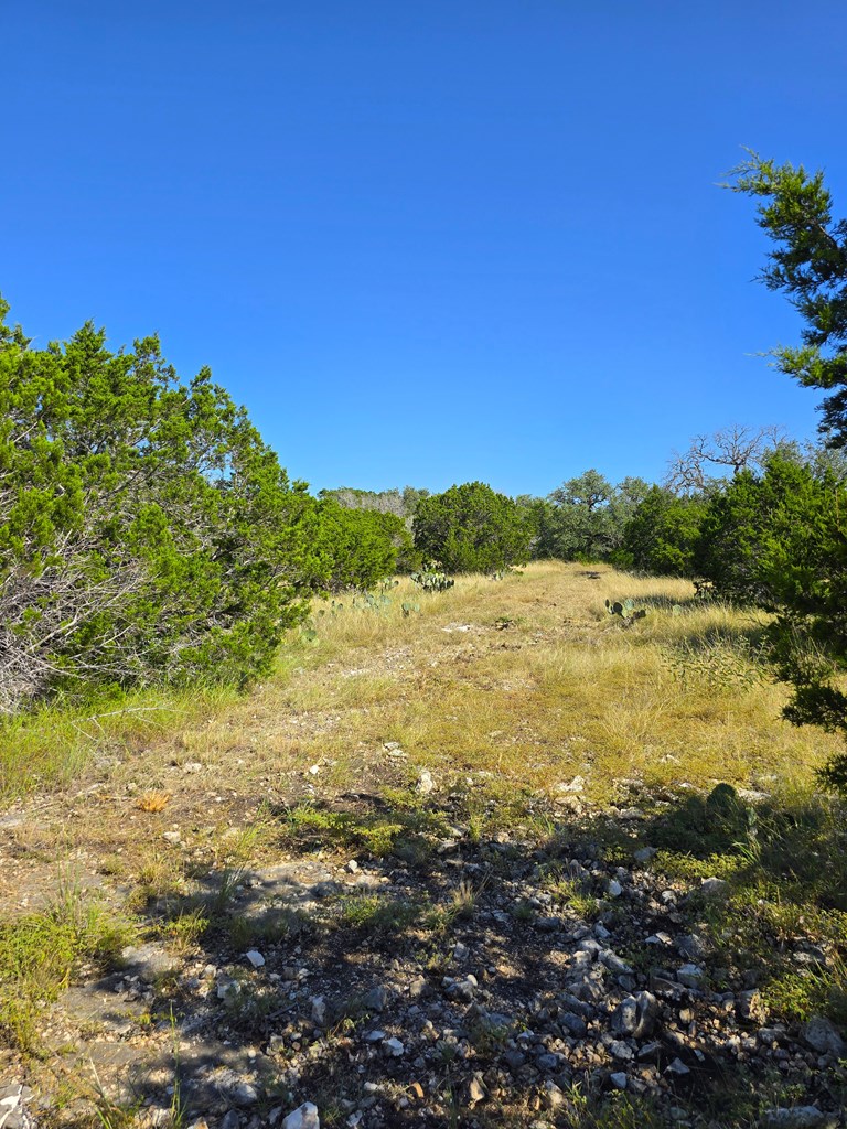 227 Mitchell Ranch Rd Property Photo 55