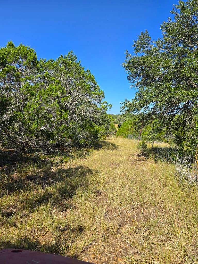 227 Mitchell Ranch Rd Property Photo 57