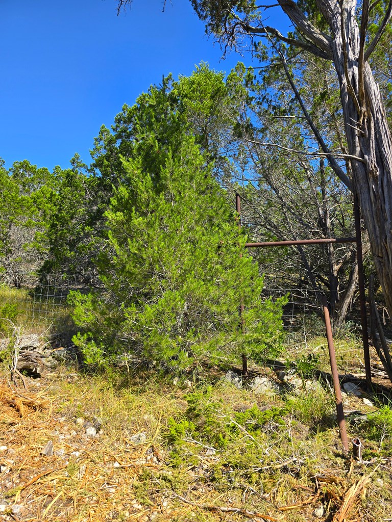 227 Mitchell Ranch Rd Property Photo 58