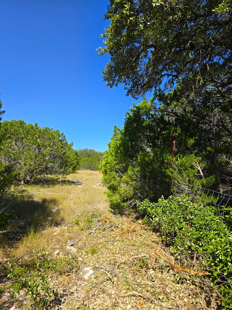 227 Mitchell Ranch Rd Property Photo 59