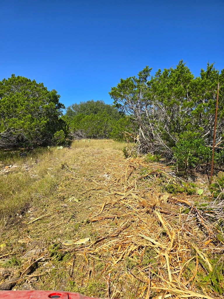 227 Mitchell Ranch Rd Property Photo 60