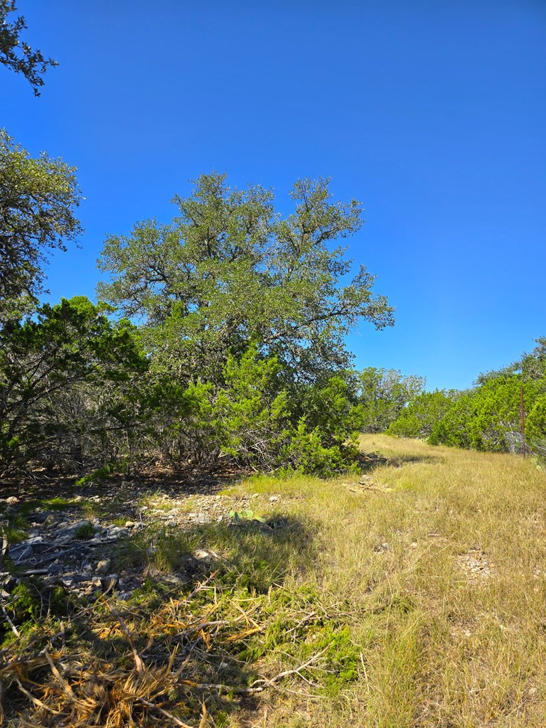 227 Mitchell Ranch Rd Property Photo 64