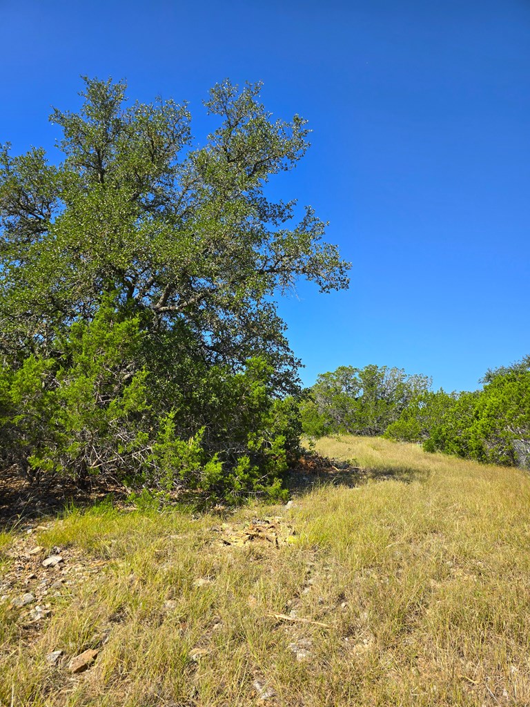 227 Mitchell Ranch Rd Property Photo 65
