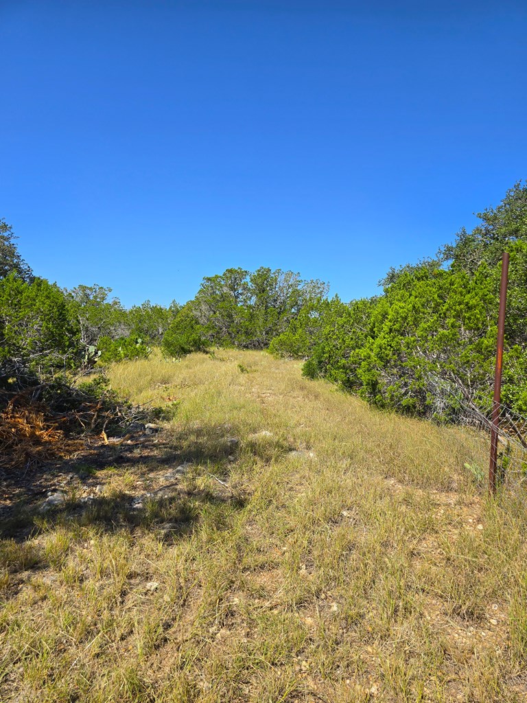 227 Mitchell Ranch Rd Property Photo 66