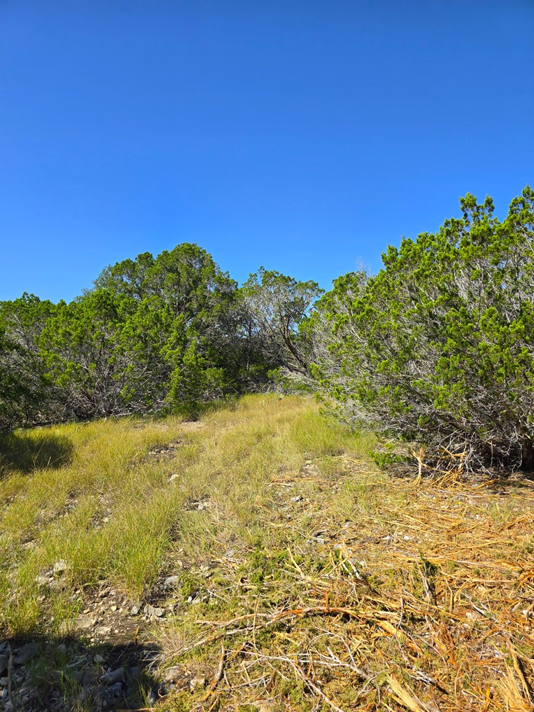 227 Mitchell Ranch Rd Property Photo 67