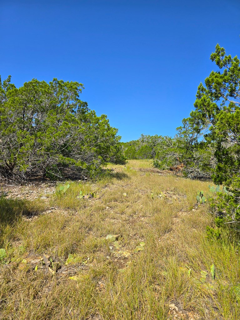 227 Mitchell Ranch Rd Property Photo 69