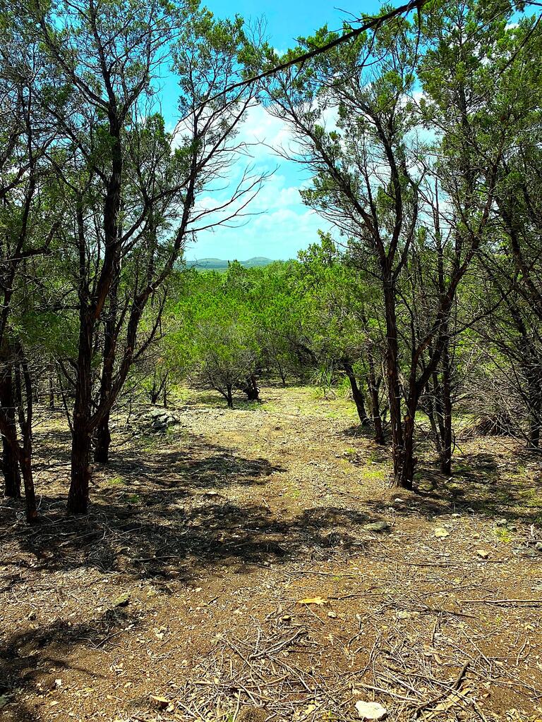 Tbd Solo Vw Property Photo 1