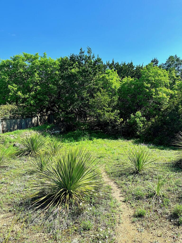 Tbd Solo Vw Property Photo 4