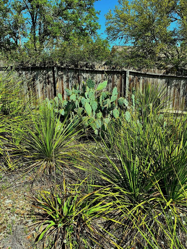 Tbd Solo Vw Property Photo 5