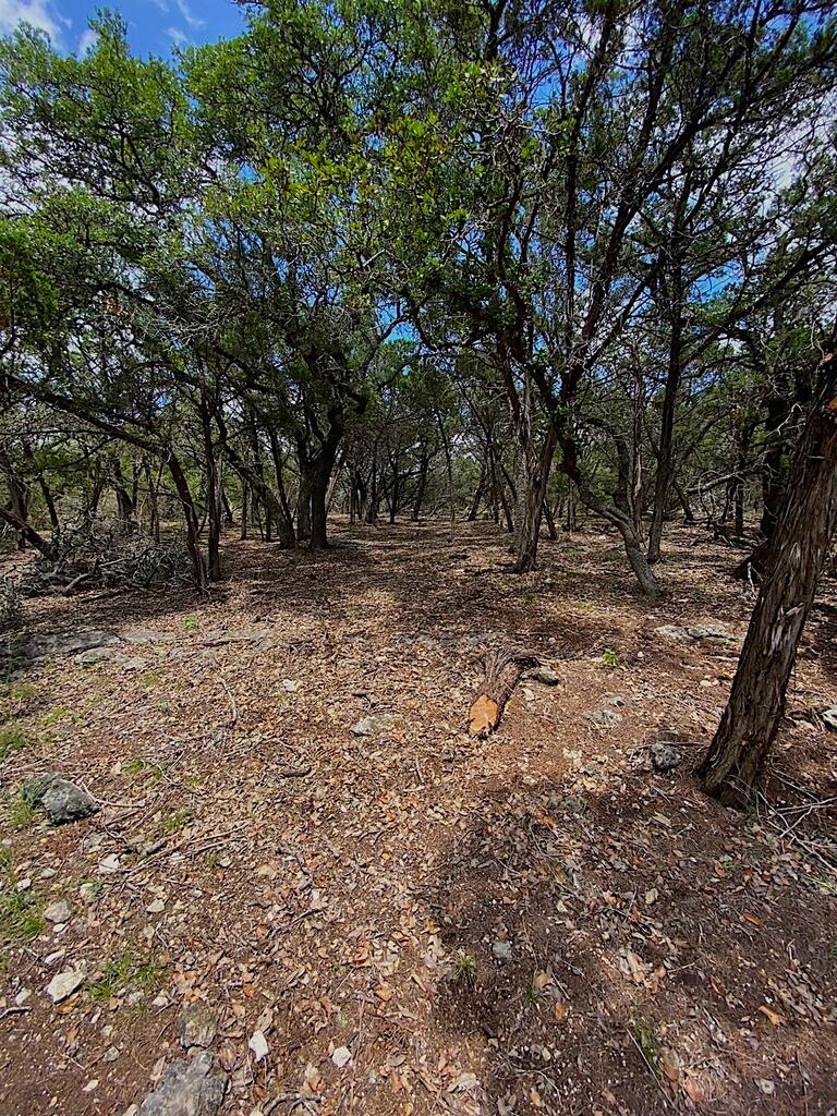 Tbd Solo Vw Property Photo 6