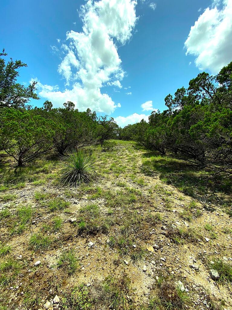 Tbd Solo Vw Property Photo 9