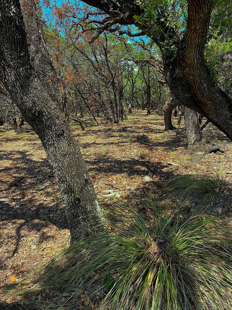 Tbd Solo Vw Property Photo 10
