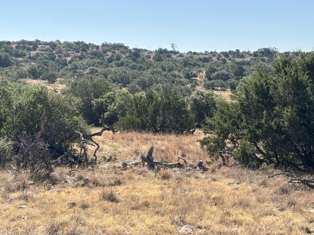 00 Cr 440 Property Photo 16