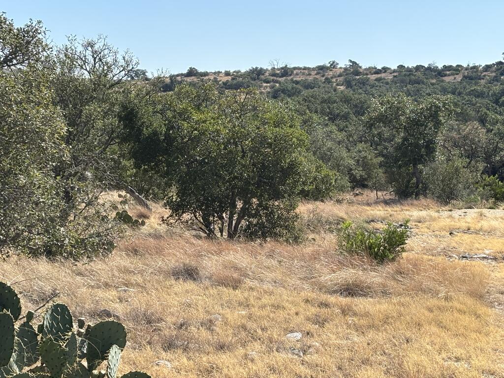 00 Cr 440 Property Photo 17