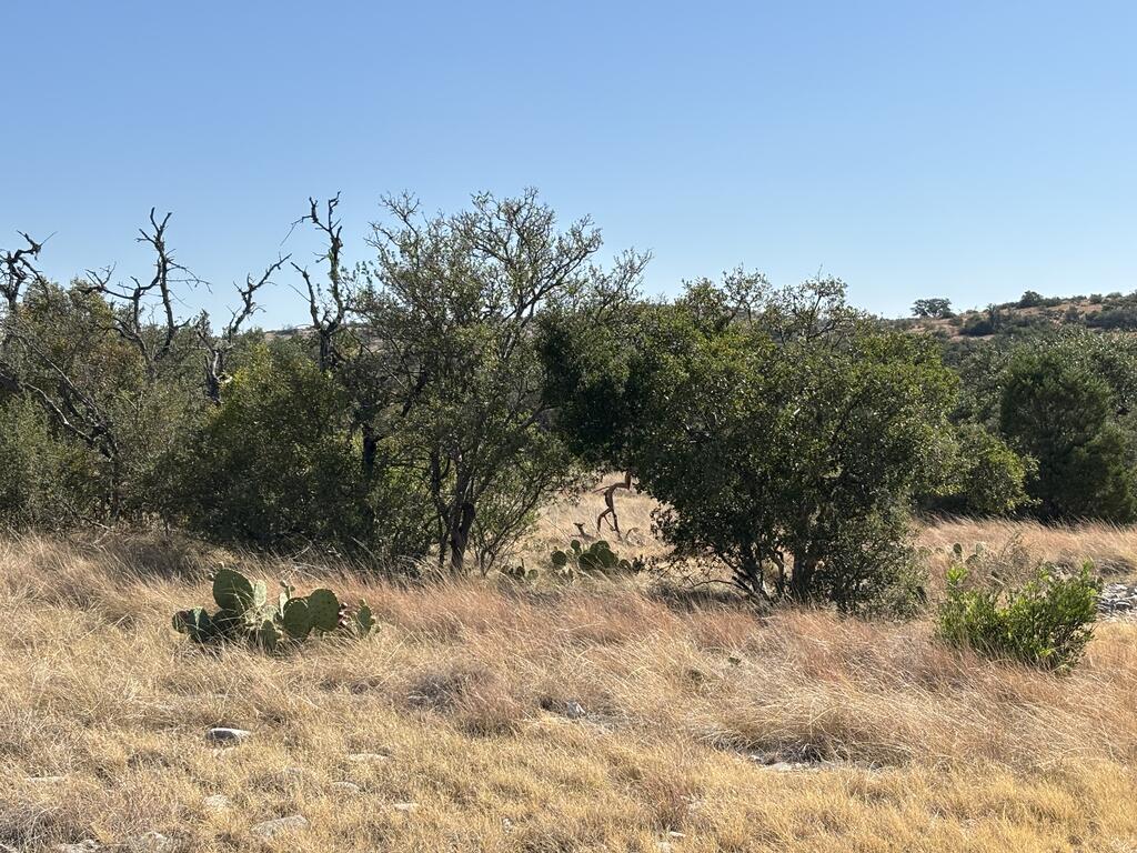 00 Cr 440 Property Photo 18
