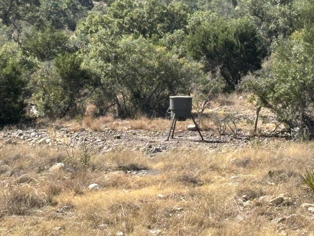 00 Cr 440 Property Photo 29