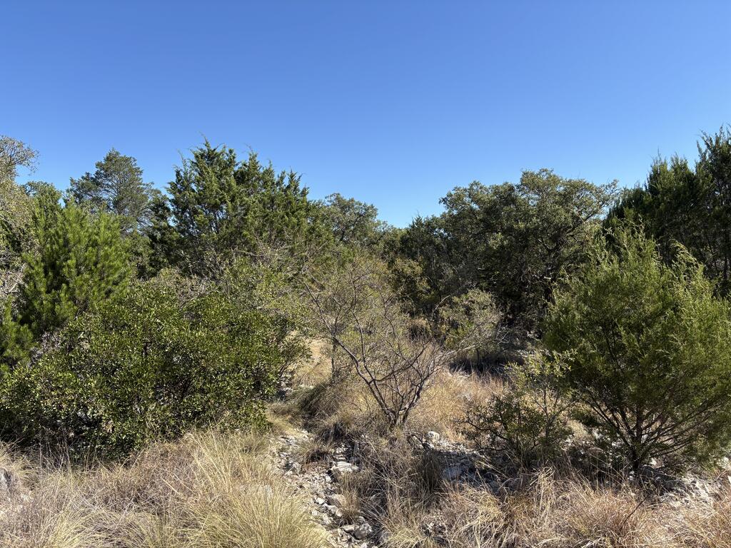 00 Cr 440 Property Photo 30