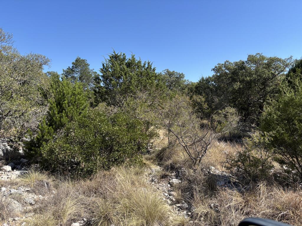 00 Cr 440 Property Photo 31