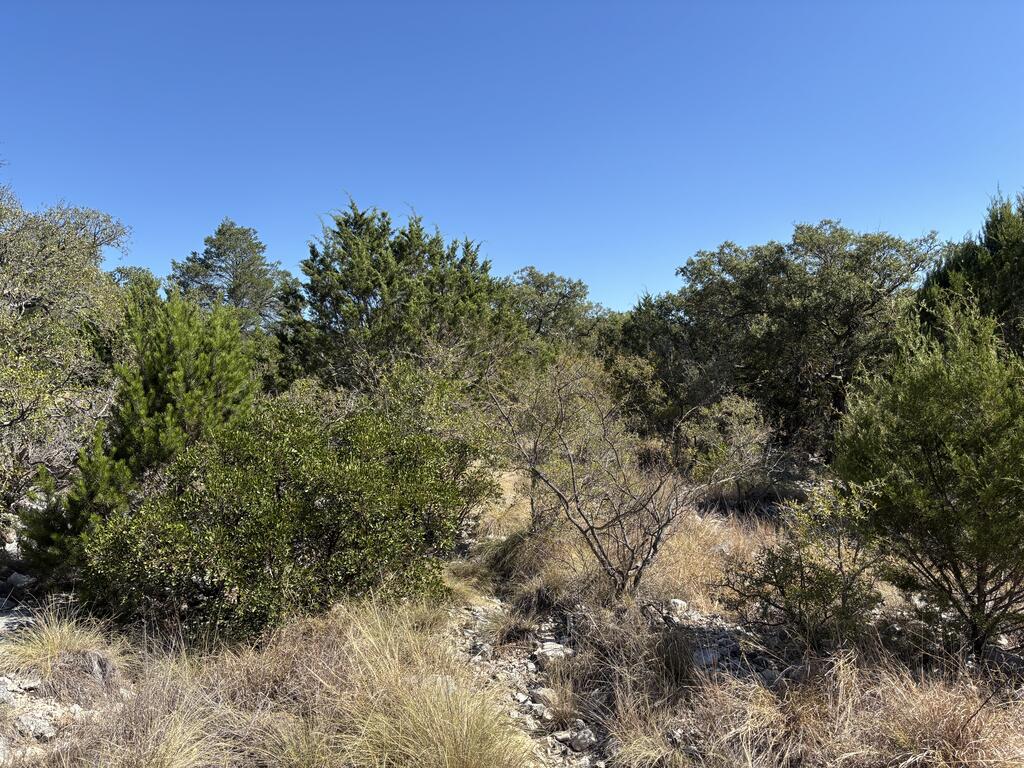 00 Cr 440 Property Photo 32