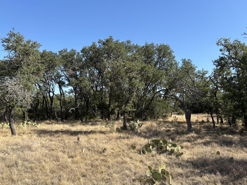 00 Cr 440 Property Photo 33