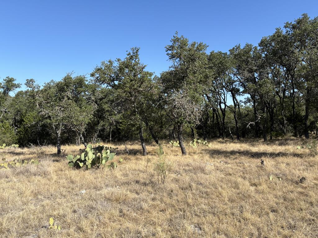 00 Cr 440 Property Photo 34