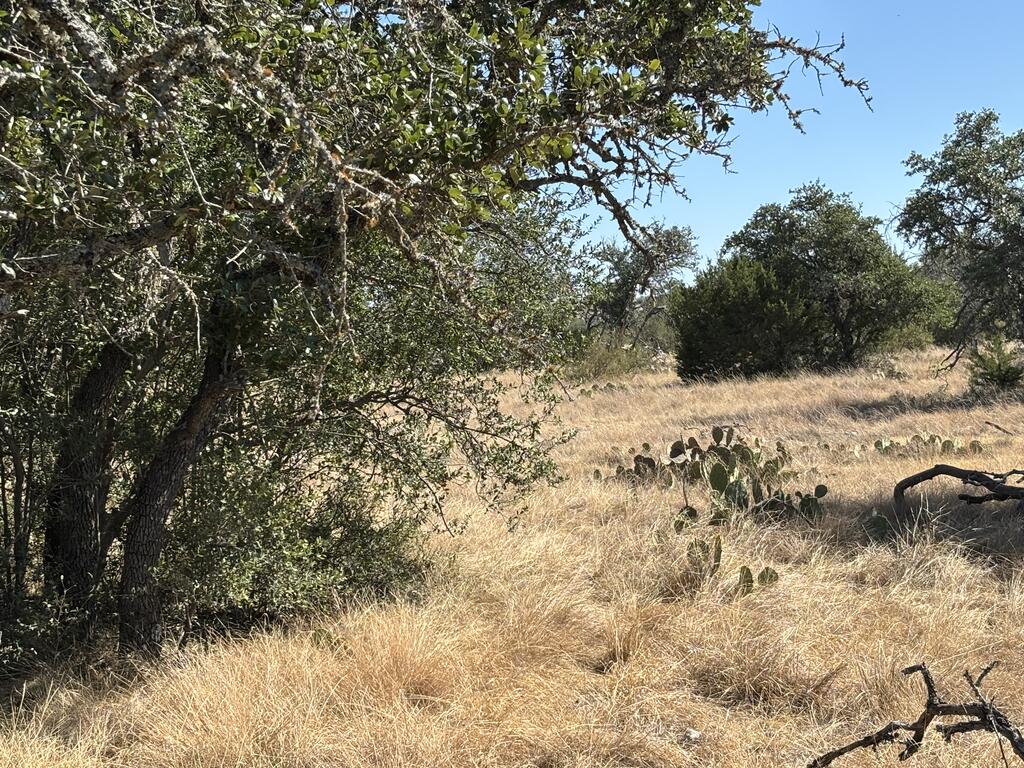 00 Cr 440 Property Photo 36