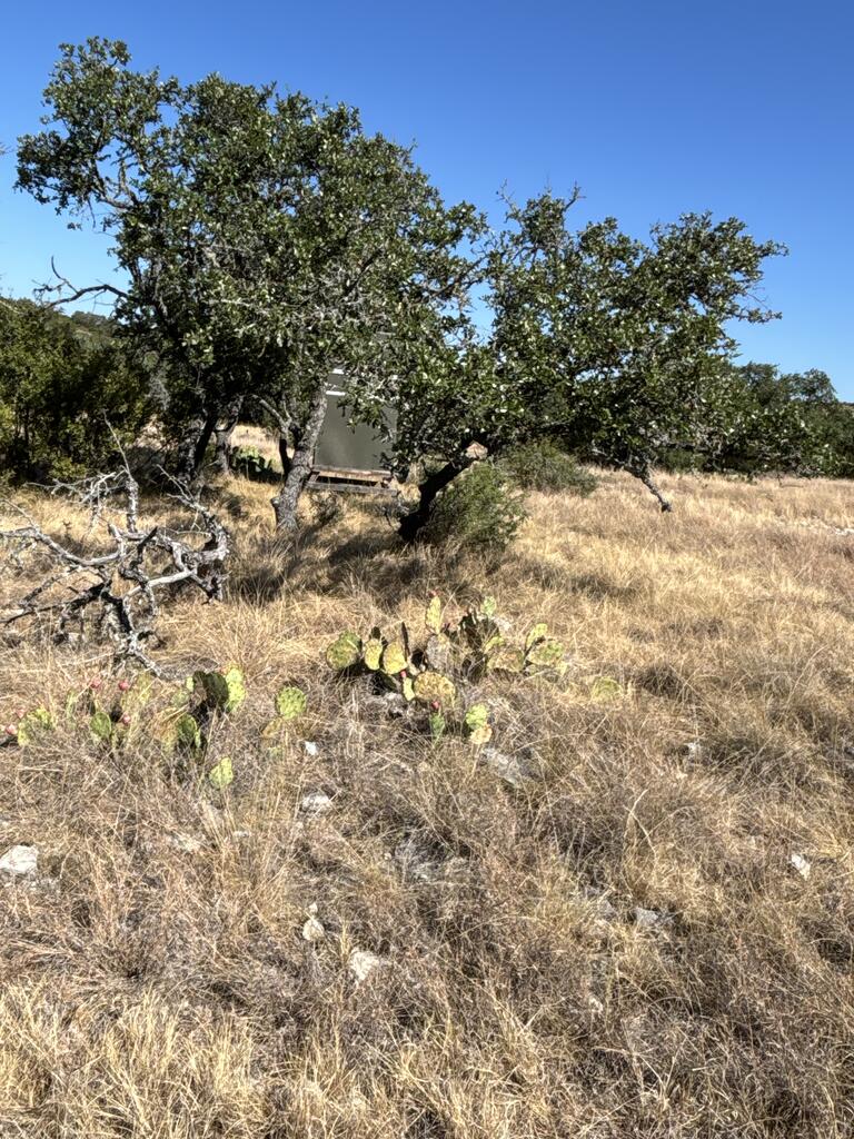 00 Cr 440 Property Photo 39