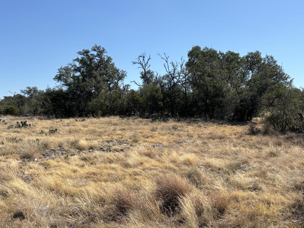 00 Cr 440 Property Photo 41