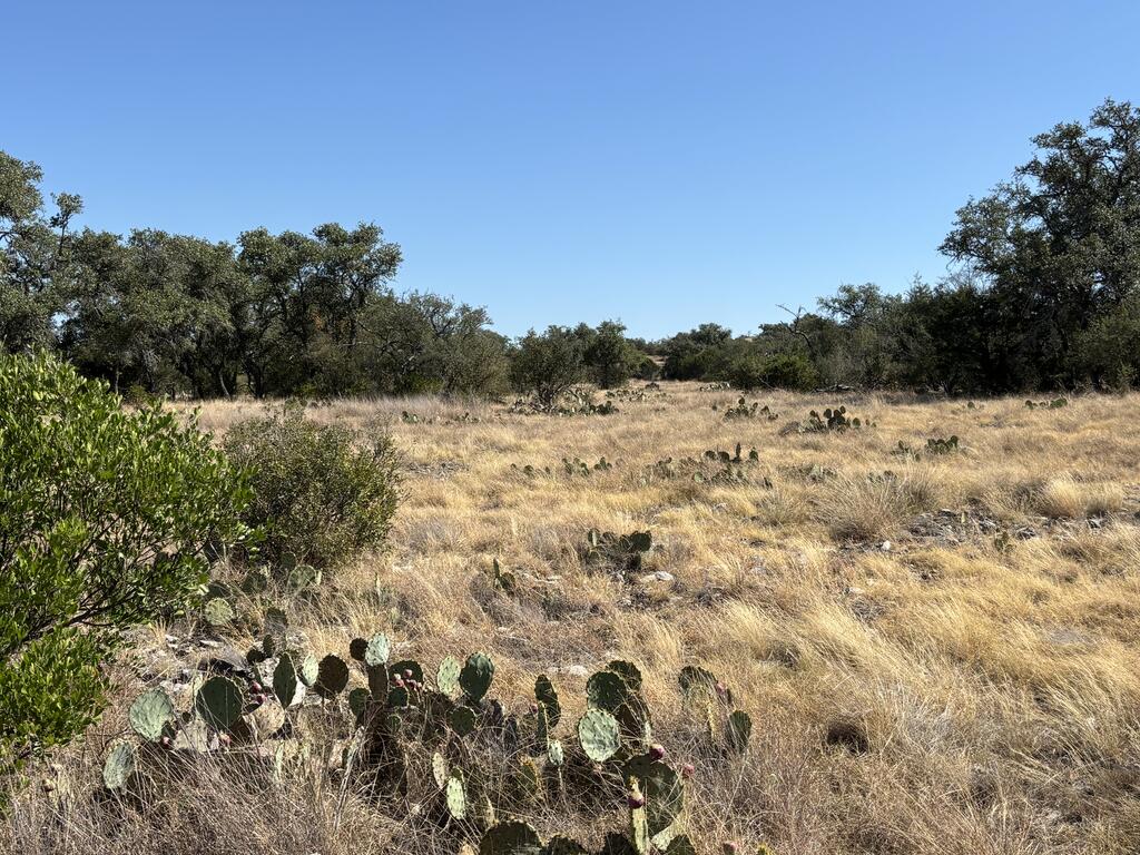 00 Cr 440 Property Photo 42