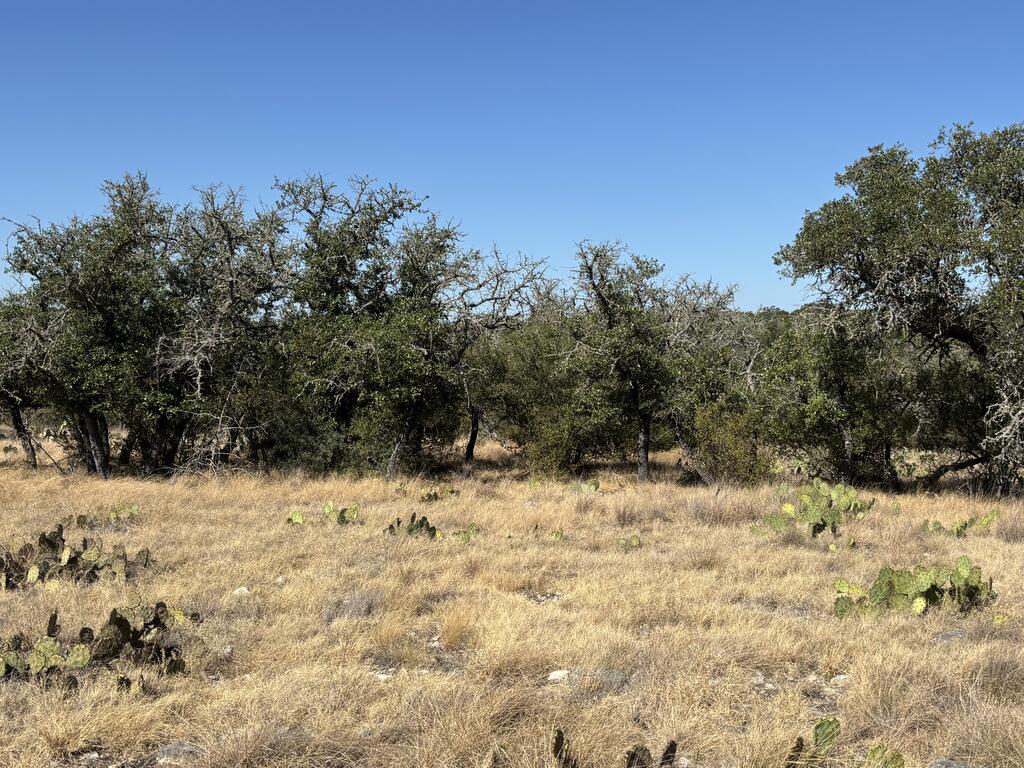 00 Cr 440 Property Photo 50