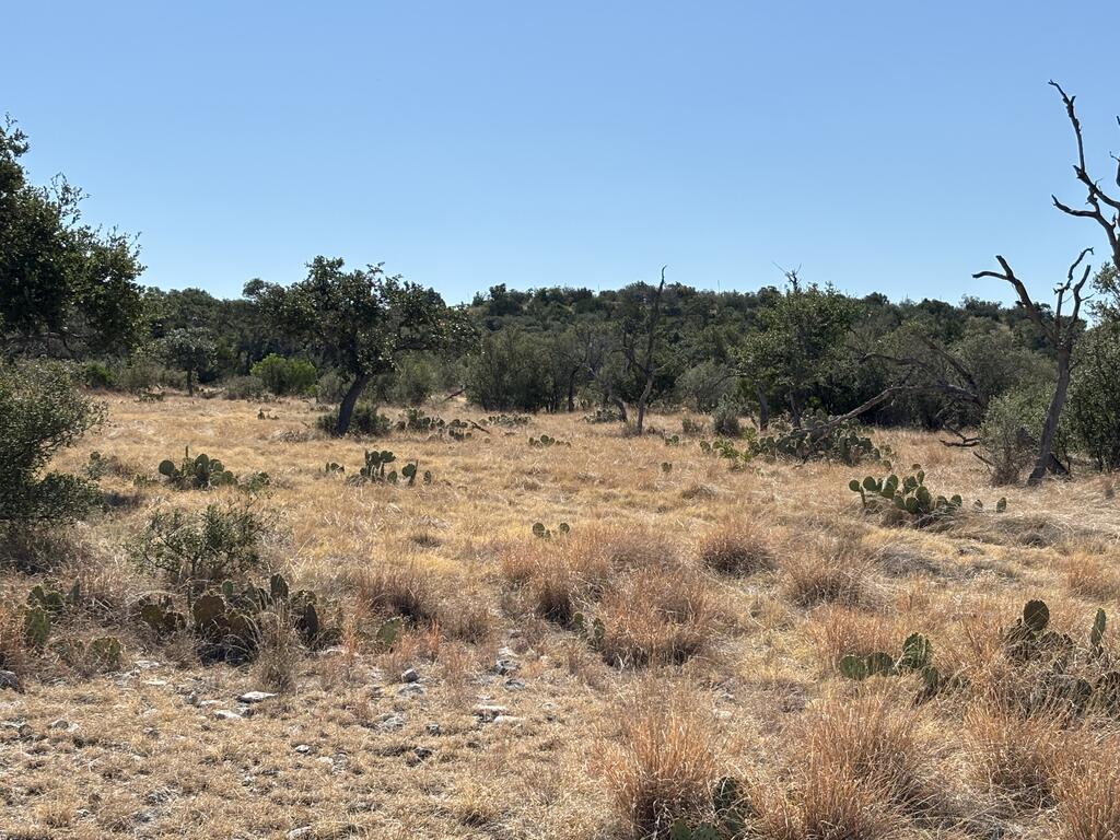 00 Cr 440 Property Photo 55